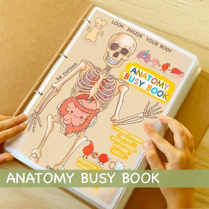 💖✨Last Day Promotion 49% OFF!✨📚Human Anatomy Busy Book🔥