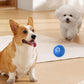 🐶Christmas Promotion-49% OFF🐶Automatic Smart Teasing Dog Ball That Can't be Bitten