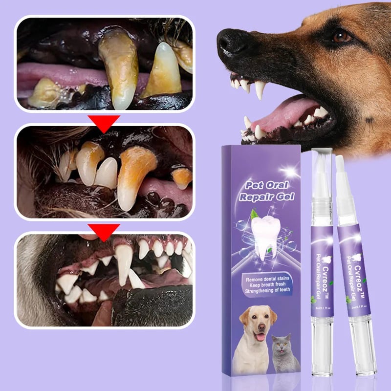 🔥BUY 1 GET 1 FREE 🌈 Pet Oral Repair Gel-2